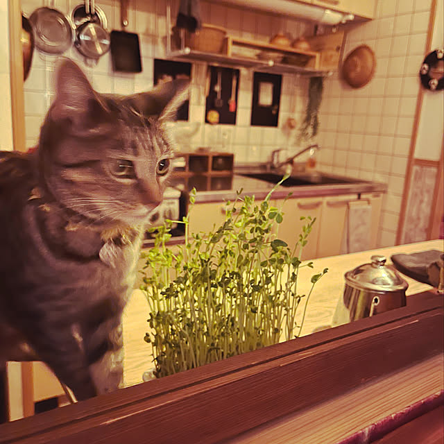Mさんの実例写真