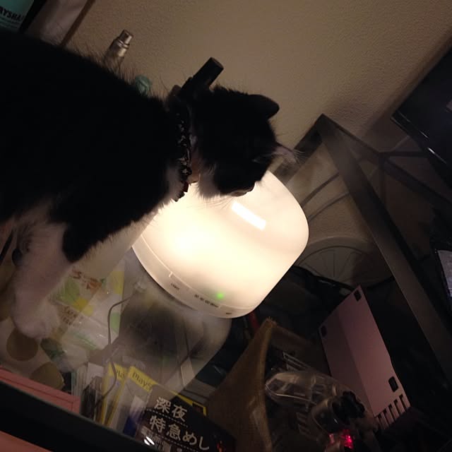 noahanaさんの実例写真