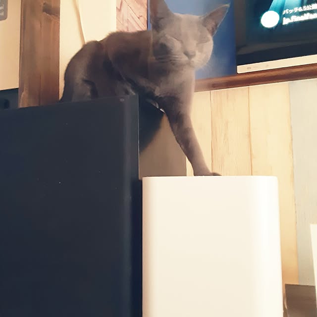 meguさんの部屋