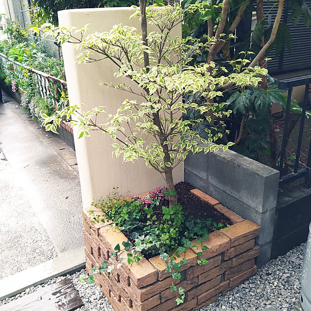 玄関/入り口のインテリア実例 - 2019-05-05 00:59:31