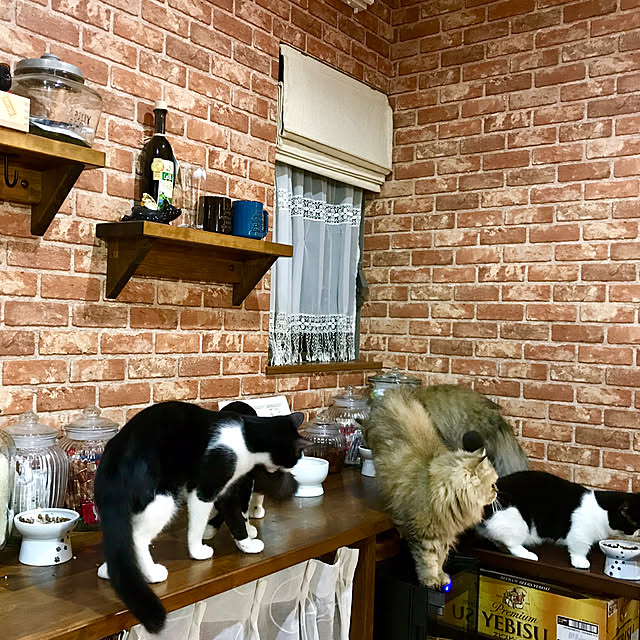 butachanさんの実例写真