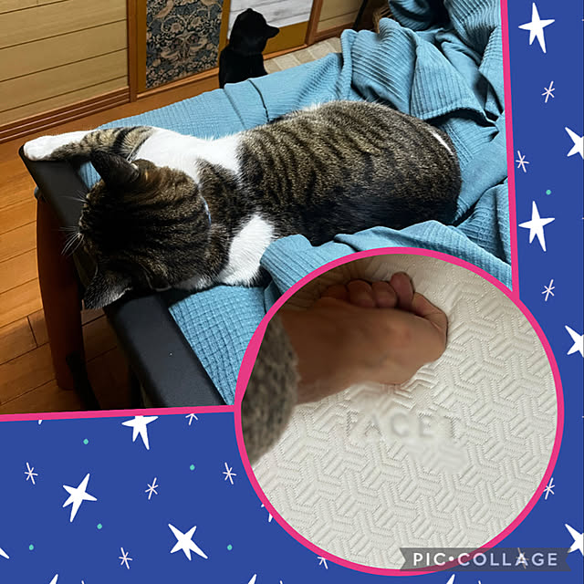 jijiさんの実例写真