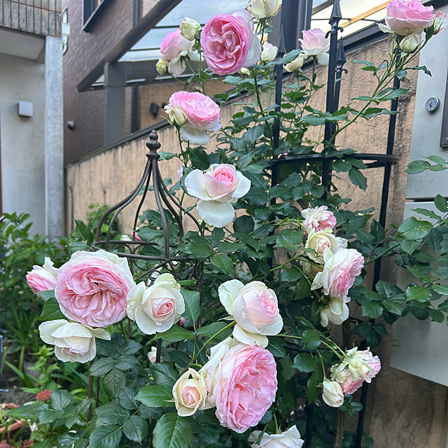 fumikoiさんの部屋