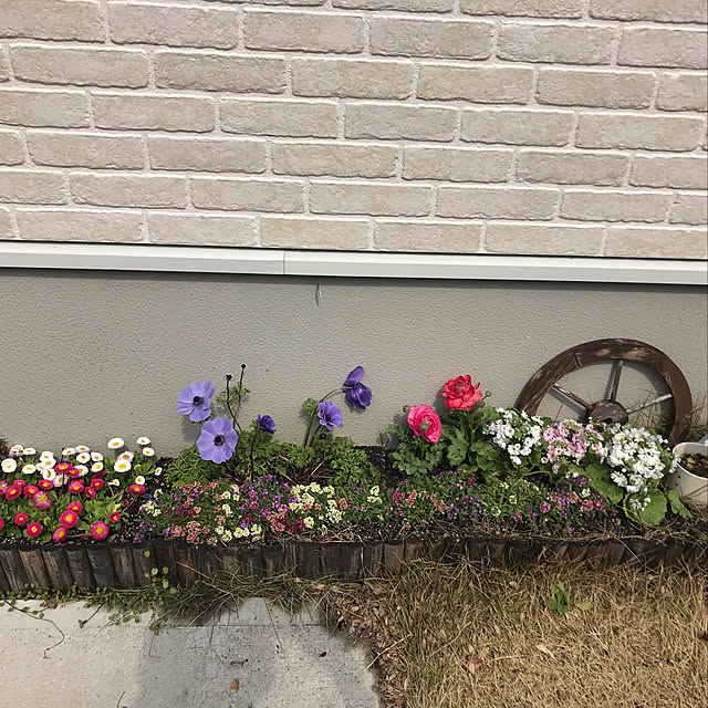 実例写真