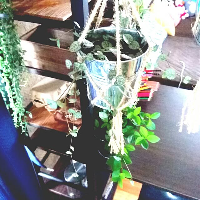 naokoさんの実例写真