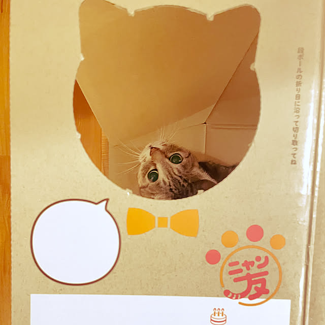 sayapiさんの部屋