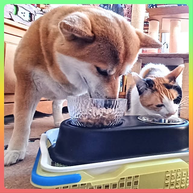 nanaさんの部屋
