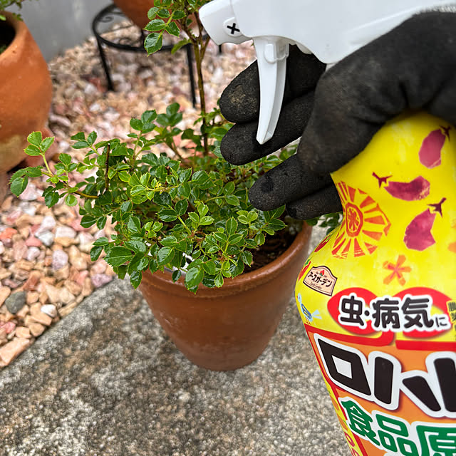 madeleineさんの実例写真