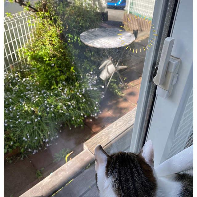 Lufuさんの実例写真