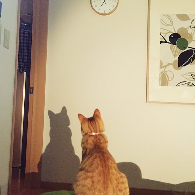 hanaさんの実例写真
