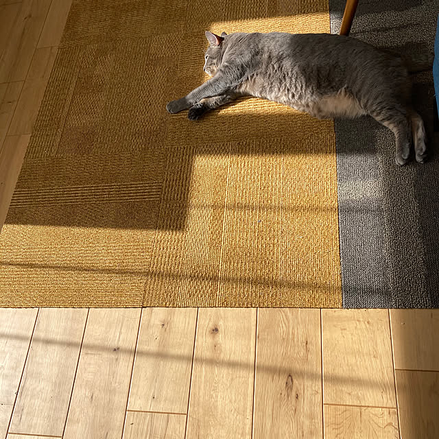 kuu511さんの実例写真