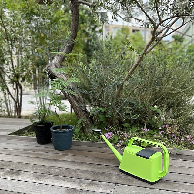 Royal_Gardeners_Clubさんの実例写真