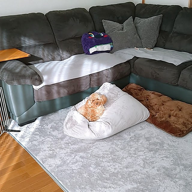 comameさんの実例写真