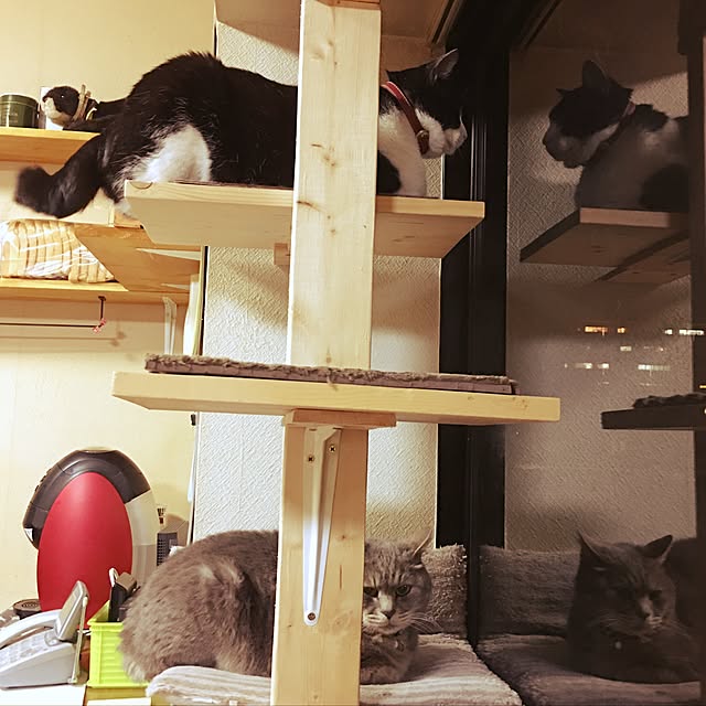 kmakkyiさんの実例写真