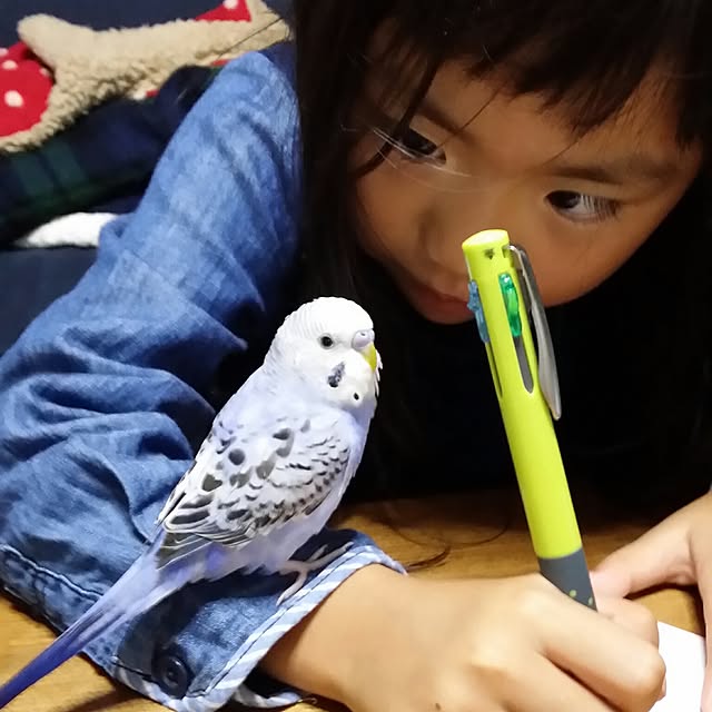 karinさんの実例写真