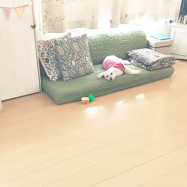 Masamiさんの実例写真
