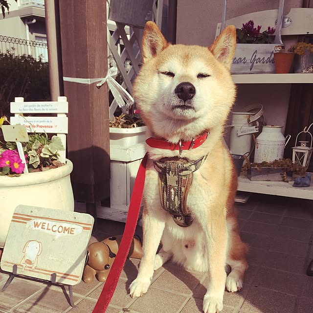 htm.さんの実例写真