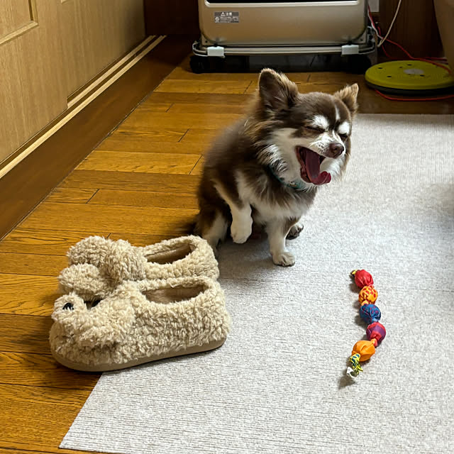 chIoeさんの部屋