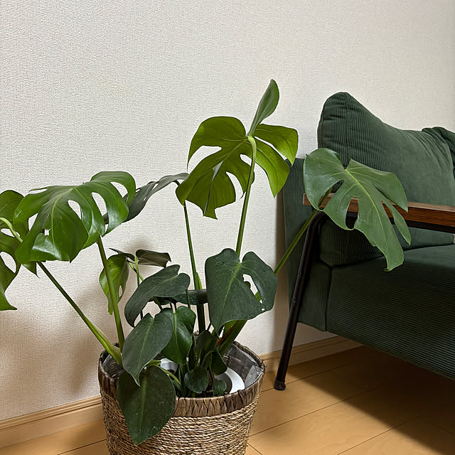 ysさんの実例写真