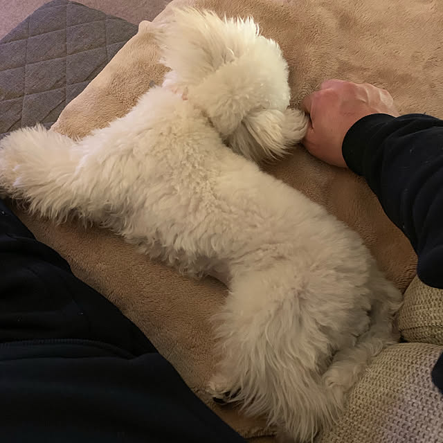 BUNさんの実例写真