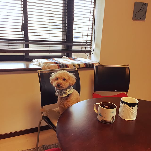 poohkunさんの実例写真