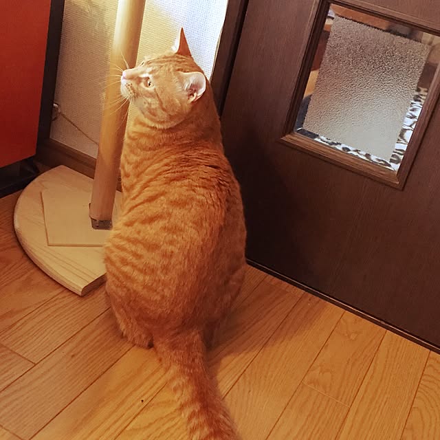 atushi13megu39さんの実例写真