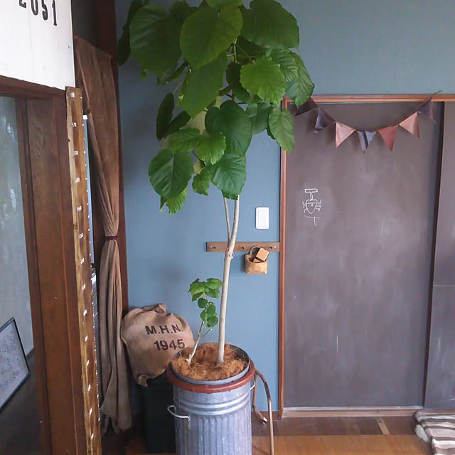 eguさんの実例写真