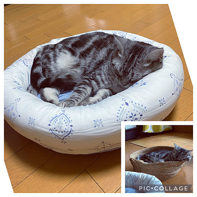 yuzuaoさんの実例写真