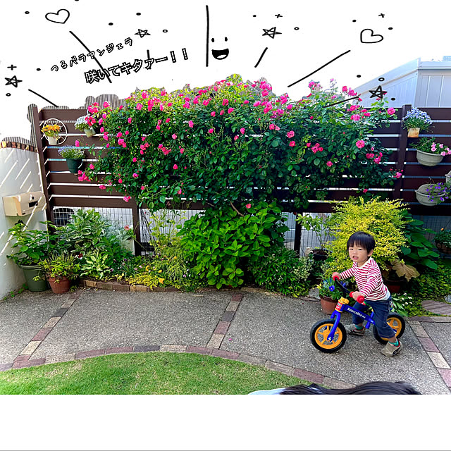 hinamamaさんの部屋