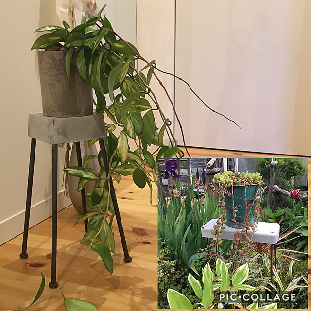 pitaさんの実例写真