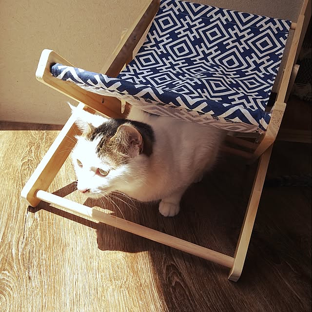 mikisunさんの部屋