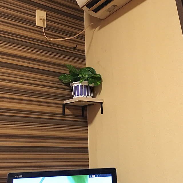 butakoさんの実例写真