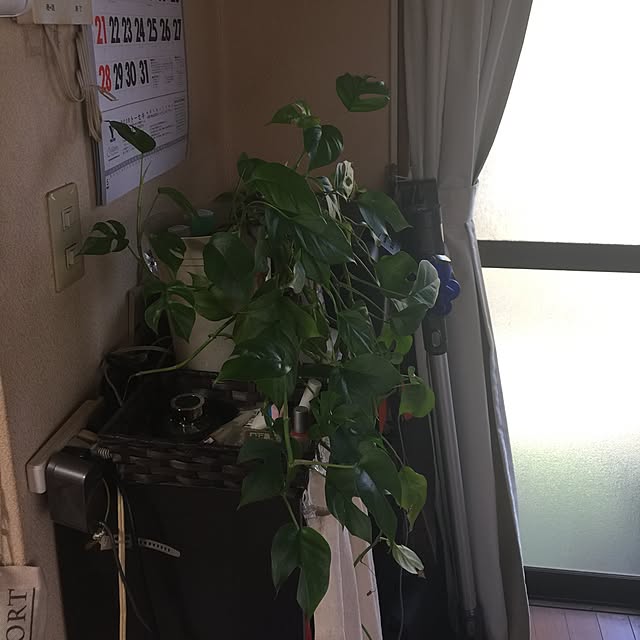 Harumiさんの実例写真