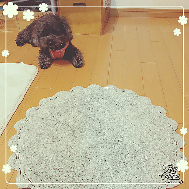 makkoさんの実例写真