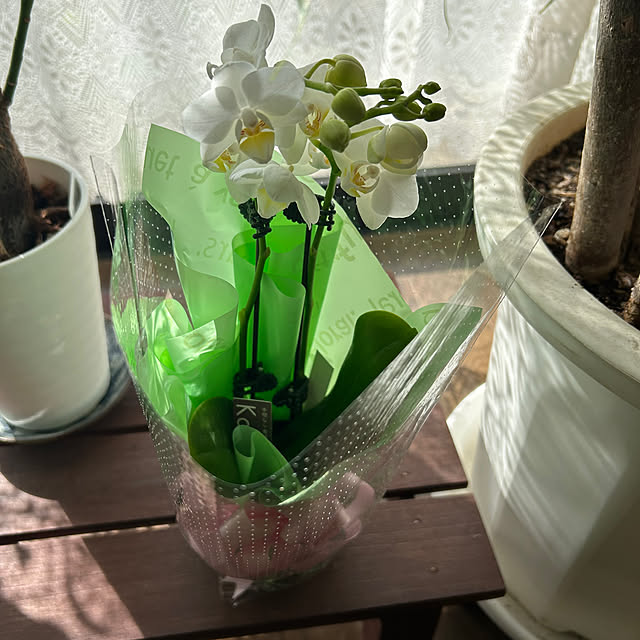 ritsukoさんの部屋