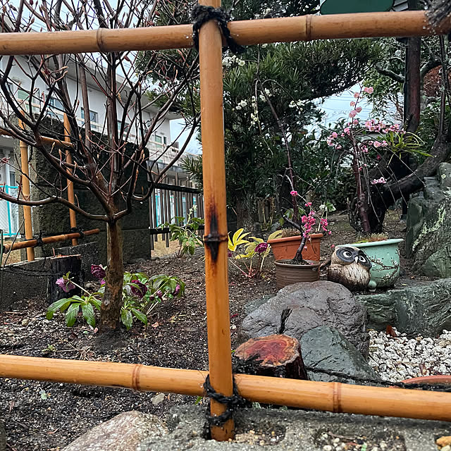 shin0719さんの部屋