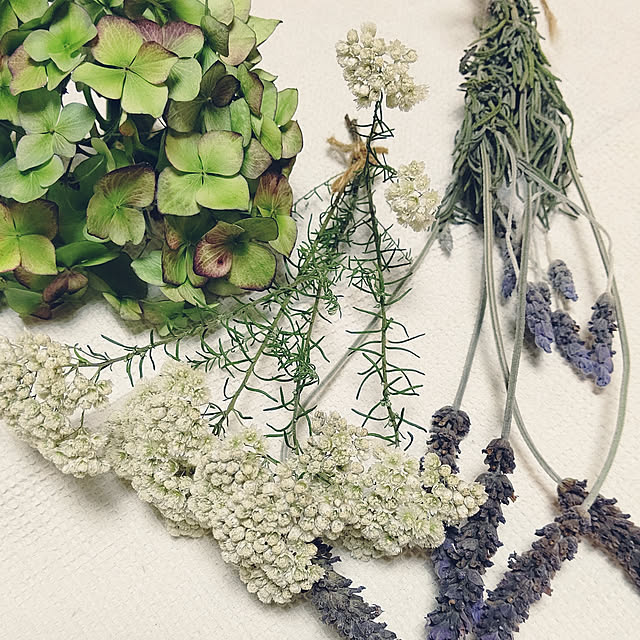 机/ナチュラル/癒し/植物のある暮らし/グリーン大好き＊...などのインテリア実例 - 2020-06-05 05:29:57