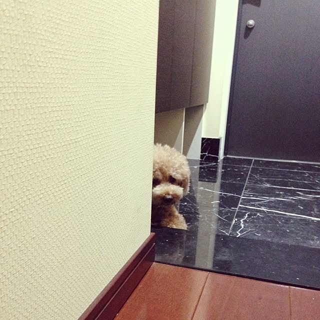 rikoさんの実例写真