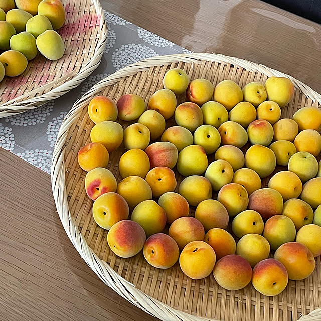 loliontoaliceveさんの実例写真