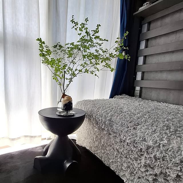 noaさんの部屋
