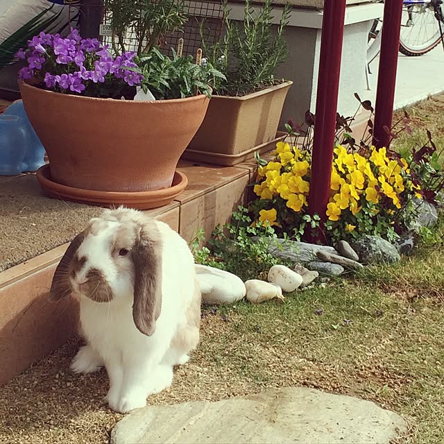 harunatsuさんの実例写真