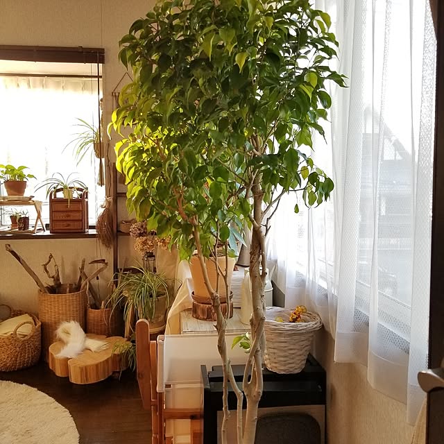 midoriさんの部屋