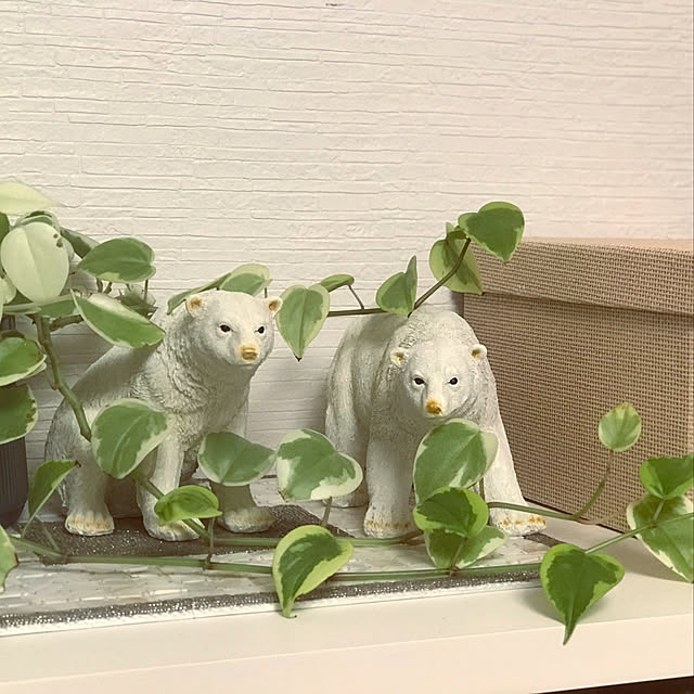 Saraさんの実例写真