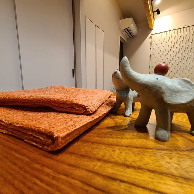 Rubiconさんの実例写真