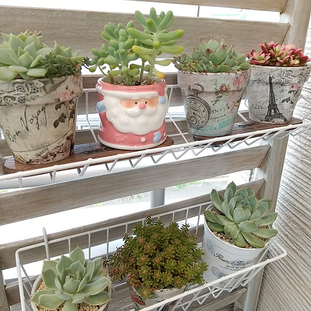 meiさんの部屋