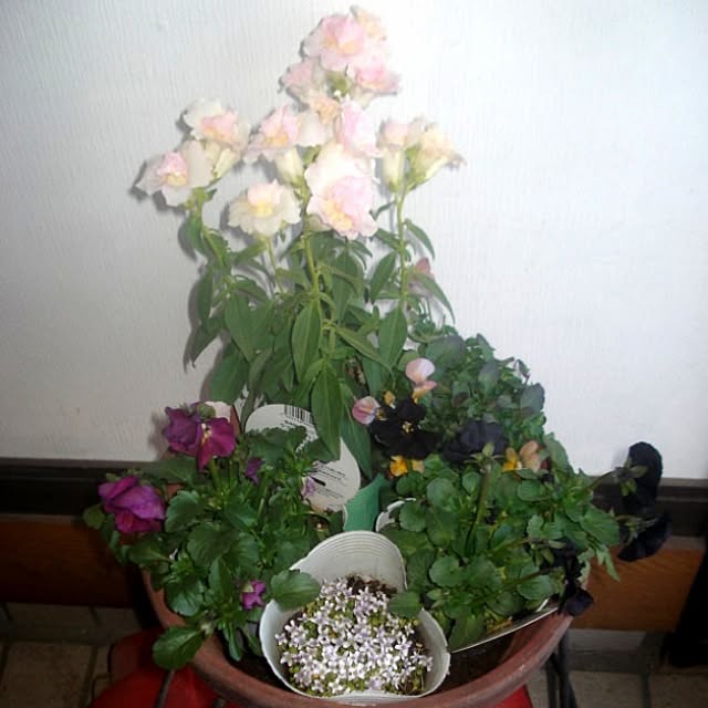 sannbonnnonamiさんの実例写真