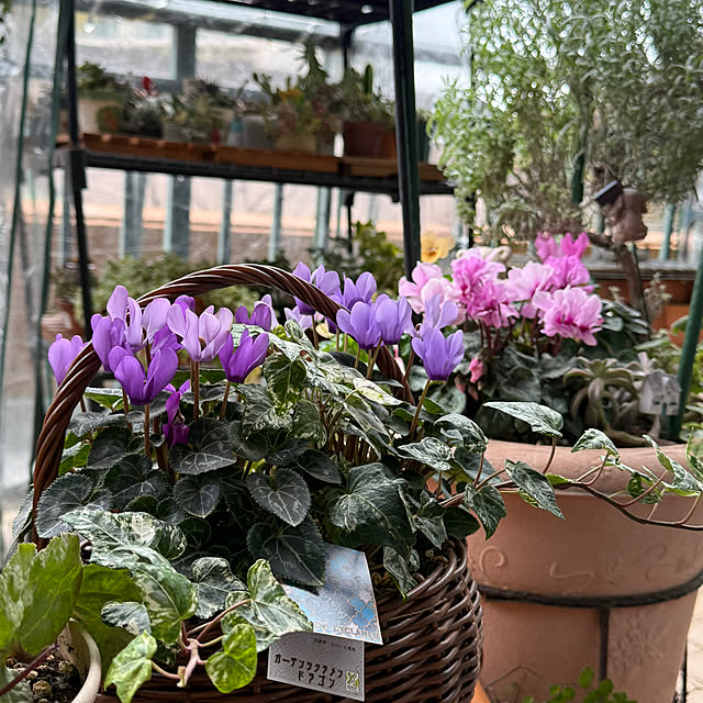 Aqettyさんの部屋