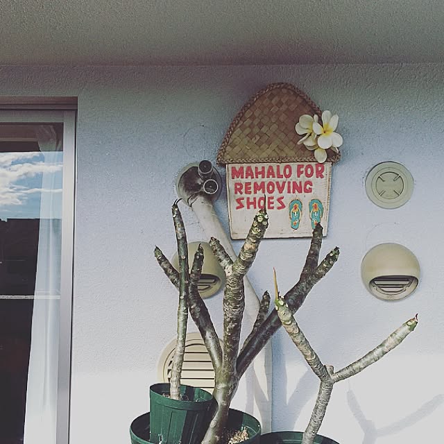 Bobさんの実例写真