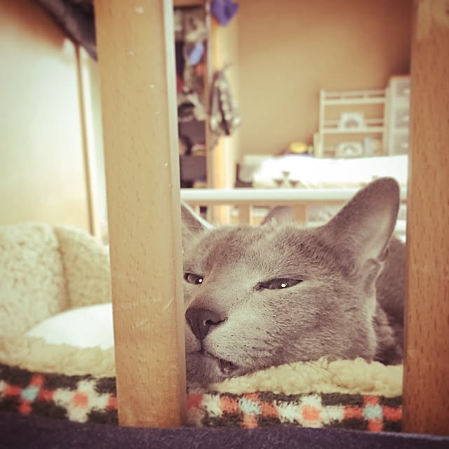 hacoさんの実例写真