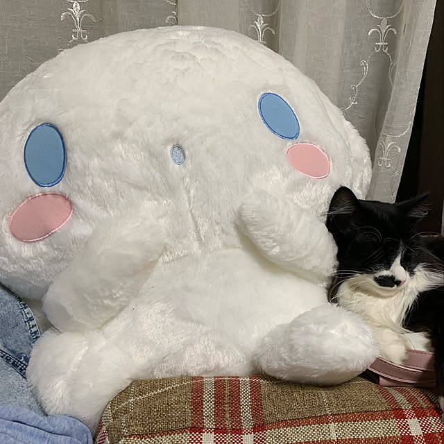siznekoさんの実例写真